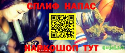 гашик Тула