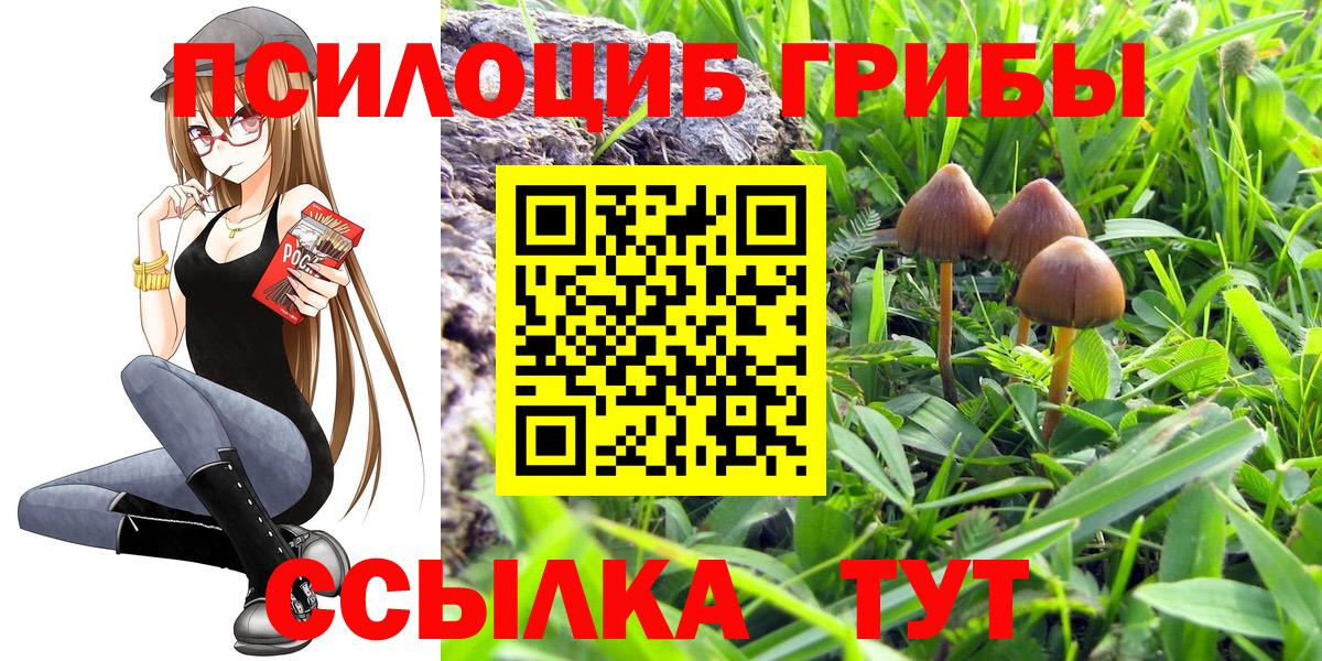 Псилоцибиновые грибы Magic Shrooms Ачхой-Мартан