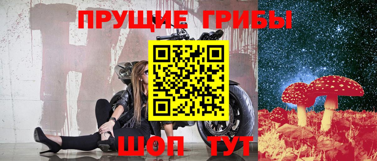 Псилоцибиновые грибы Psilocybine cubensis  Вход с VPN  как найти закладки  Ачхой-Мартан 